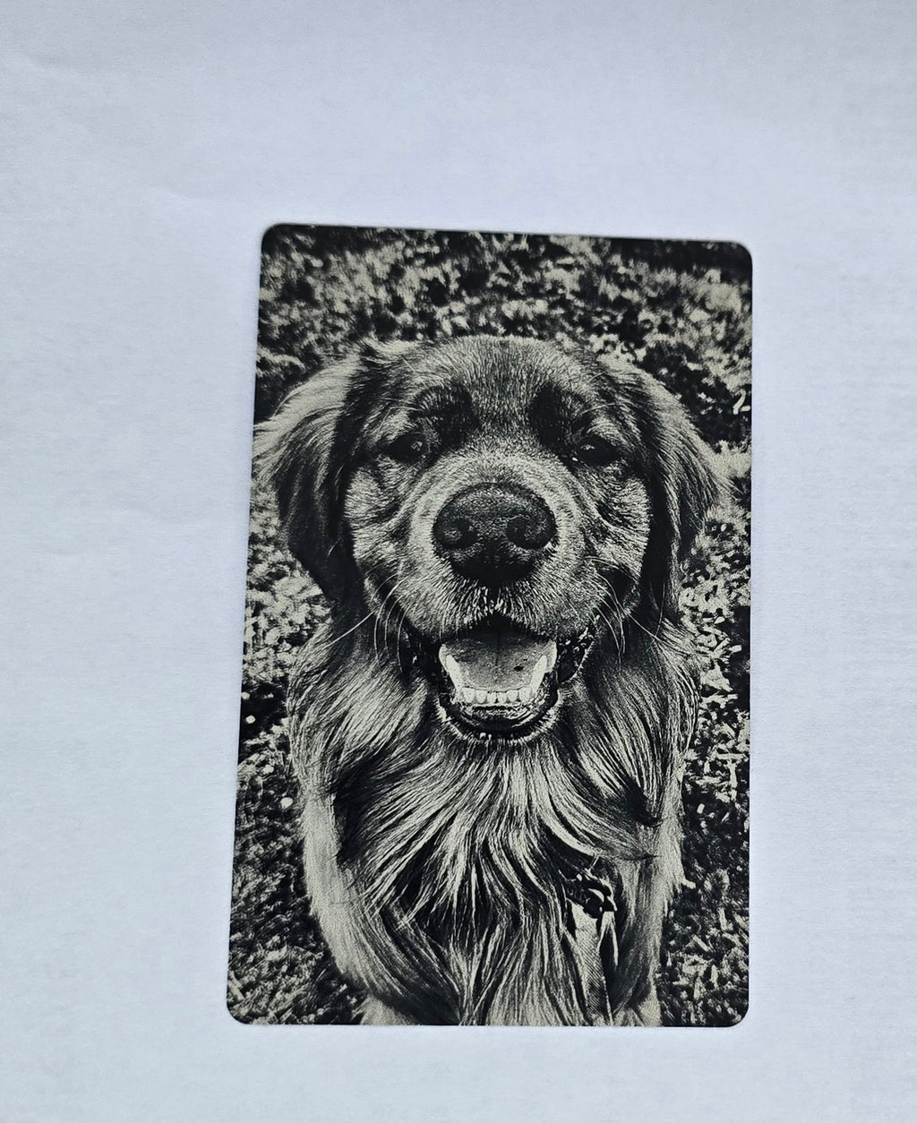 Single Side Wallet-Sized Laser Etched Photos