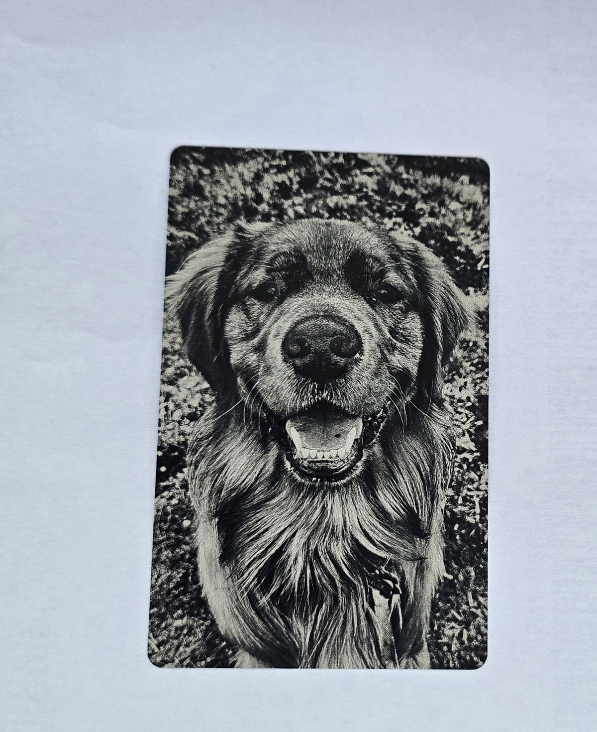 Single Side Wallet-Sized Laser Etched Photos
