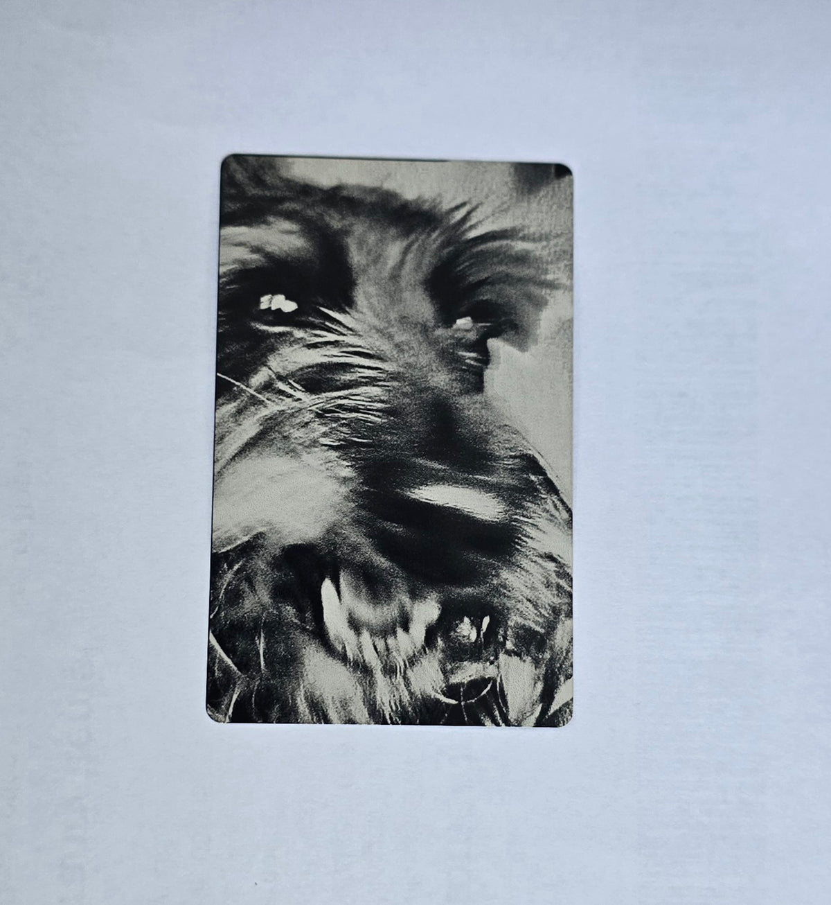 Single Side Wallet-Sized Laser Etched Photos